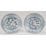 Pair of Chinese export blue and white plates, 18th century, painted with flowering trees and