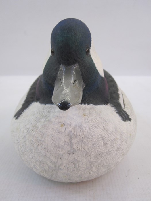 Barry Woodcraft decoy bufflehead drake signed to base and dated November 1991, sculptured from - Image 3 of 7