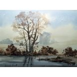 David Short (?) (20th century) Watercolour Tree by pond, signed lower left, 27 x 36.5 cm