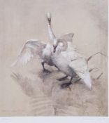 Vernon Ward Colour print Pair of swans, 62/500, signed in margin, framed, other framed prints,