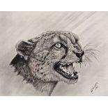 B J Wolhuter(?) Colour prints Leopard snarling, dated 12/10/69 and another of a lioness roaring,