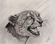 B J Wolhuter(?) Colour prints Leopard snarling, dated 12/10/69 and another of a lioness roaring,