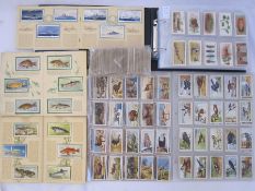 Cigarette cards including album of Players 'Modern Naval Craft', 'Natural History', 'Sea Fish and