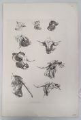 Five prints of cattle, each published in the early 19th century