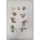 Five prints of cattle, each published in the early 19th century