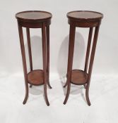 Pair of early 20th century two-tier aspidistra stands (2)