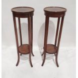 Pair of early 20th century two-tier aspidistra stands (2)