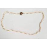 Cultured pearl necklace with 9ct gold flower-shaped clasp, set with six garnets and single pearl,