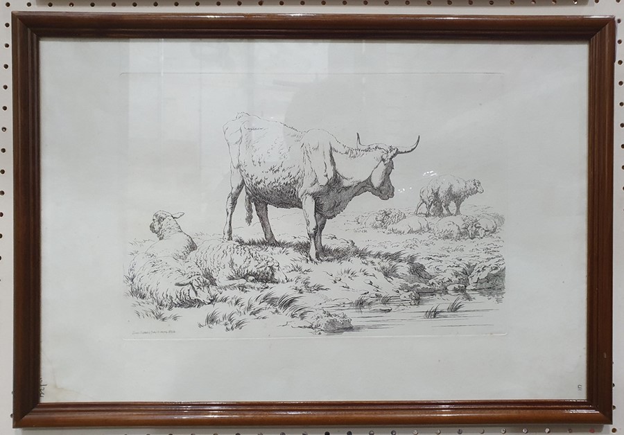 After Robert Hills (1769 - 1844) Five engravings from the Etchings of Cattle published 1806, each - Image 4 of 6