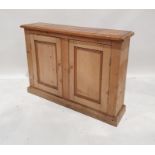 Early 20th century pine low cabinet, rectangular top above two cupboard doors enclosing shelf,