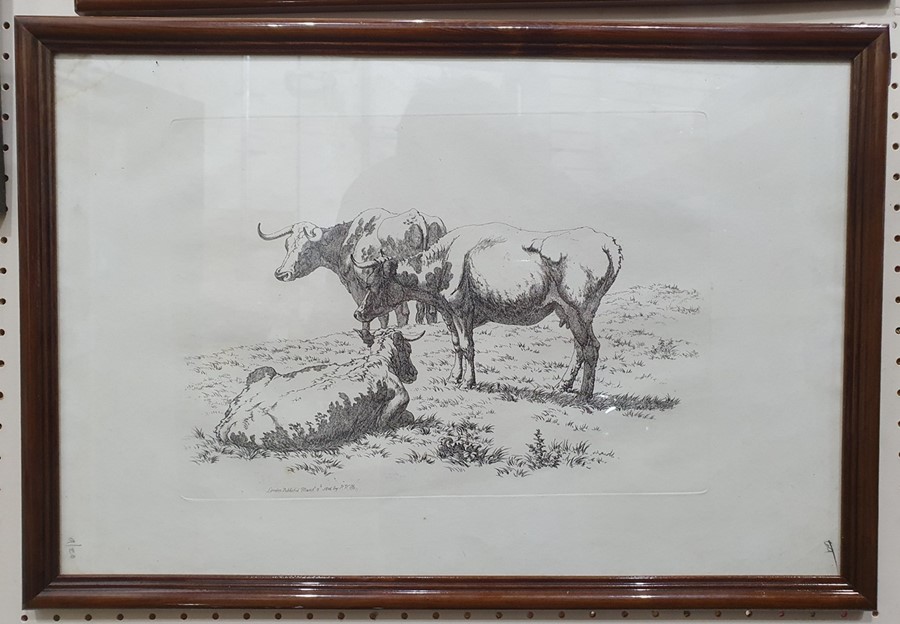 After Robert Hills (1769 - 1844) Five engravings from the Etchings of Cattle published 1806, each - Image 3 of 6