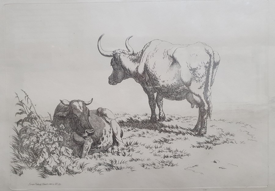 After Robert Hills (1769 - 1844) Five engravings from the Etchings of Cattle published 1806, each