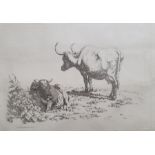 After Robert Hills (1769 - 1844) Five engravings from the Etchings of Cattle published 1806, each