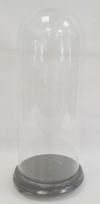 Old glass dome, 47cm high and the painted wood base
