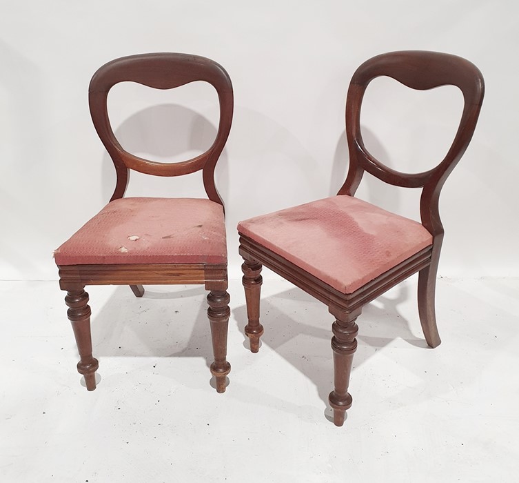 Set of eight similar mahogany balloonback chairs on turned supports (8)
