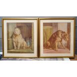 Number of framed prints of dogs, taken from a book and similar of horses (2 boxes)