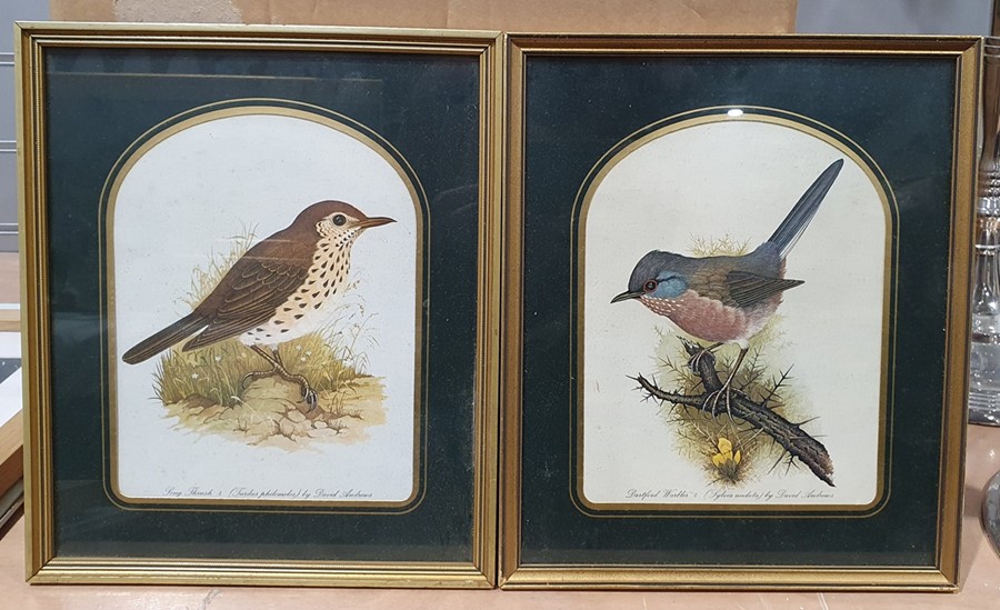 Large quantity of framed prints to include birds, fashion, etc. (1 box) - Image 3 of 8