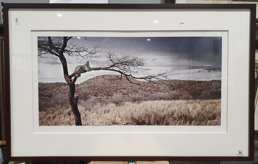 Martin Osner (1963- ) Fine Art Photography Limited edition print Rhinoceros in the bush, No. 2/20, - Image 2 of 8