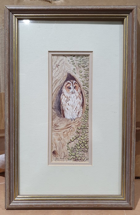 Large quantity of framed prints to include birds, fashion, etc. (1 box) - Image 6 of 8