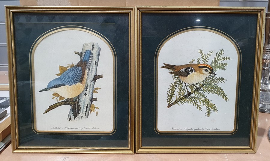 Large quantity of framed prints to include birds, fashion, etc. (1 box) - Image 2 of 8