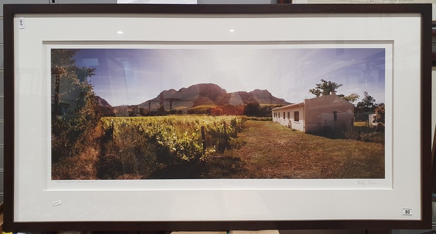 Martin Osner (1963-) - Fine Art Photography Limited Edition colour photograph Rural vineyard in - Image 2 of 8