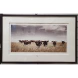 Martin Osner (1963 -) Fine Art Photography Limited edition colour photograph Buffalo in the Veldt,
