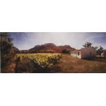 Martin Osner (1963-) - Fine Art Photography Limited Edition colour photograph Rural vineyard in