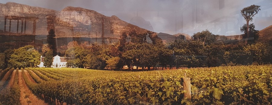 Martin Osner (1963-) - Fine Art Photography Limited Edition colour photograph Rural vineyard in - Image 5 of 8