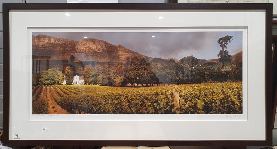 Martin Osner (1963-) - Fine Art Photography Limited Edition colour photograph Rural vineyard in - Image 6 of 8
