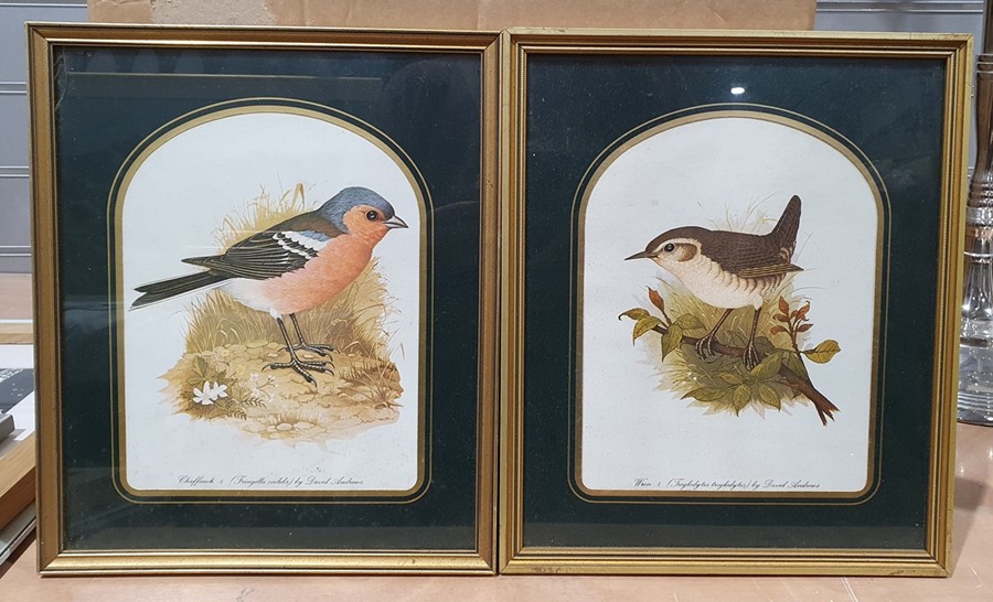 Large quantity of framed prints to include birds, fashion, etc. (1 box)