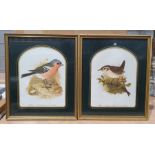 Large quantity of framed prints to include birds, fashion, etc. (1 box)