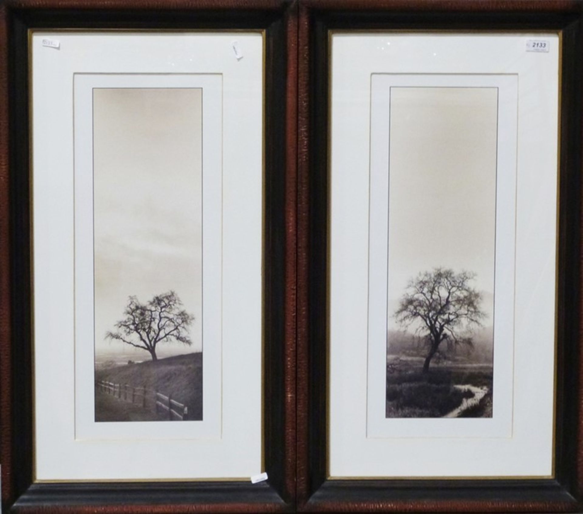 Set of four photographic prints of trees in landscapes, 55cm x 22cm (4)