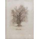 Set of four limited edition etchings depicting a tree through the seasons, each titled in pencil and