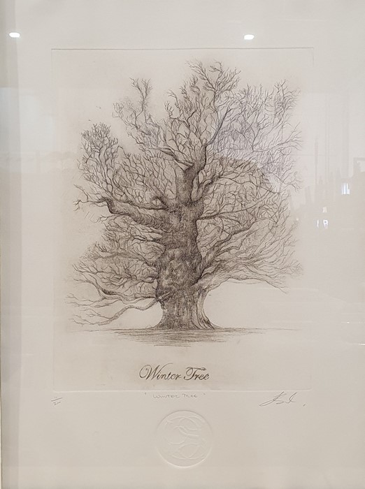 Set of four limited edition etchings depicting a tree through the seasons, each titled in pencil and - Image 2 of 9