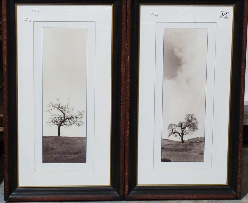 Set of four photographic prints of trees in landscapes, 55cm x 22cm (4) - Image 2 of 2