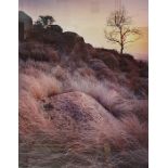 Photographic print of a rocky landscape, titled 'Tree Rock Grass', API and signed 'Eugene Von De