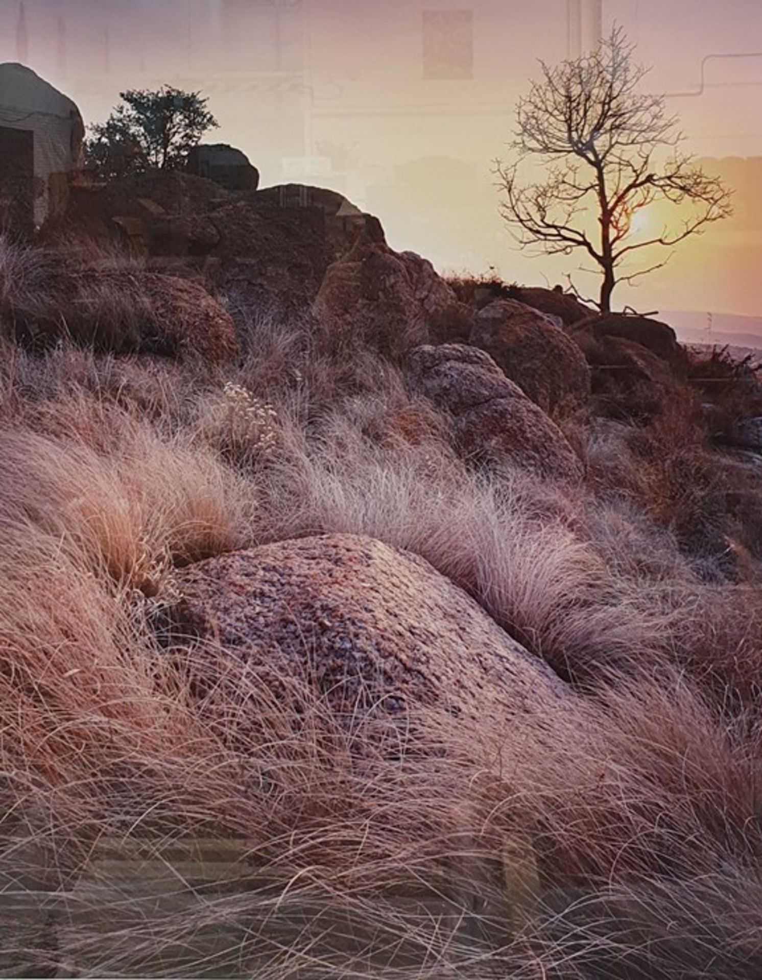 Photographic print of a rocky landscape, titled 'Tree Rock Grass', API and signed 'Eugene Von De