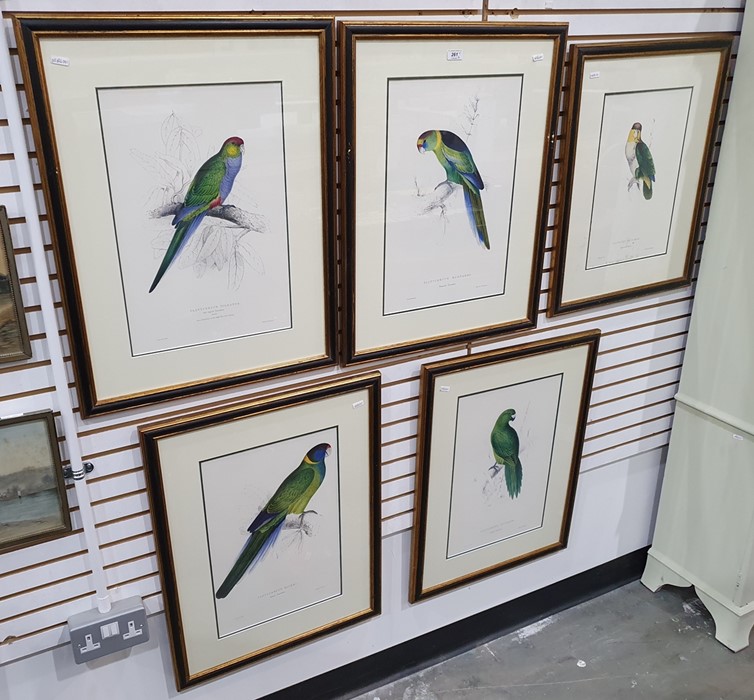 After Edward Lear Set of five coloured prints of parrots, framed to match, and Algernon Talmage - Image 7 of 7
