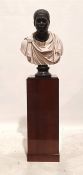 Modern resin bust draped with classical robes, 76cm high, on square wooden plinth, 106cm high