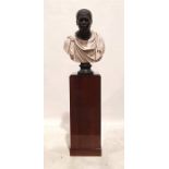 Modern resin bust draped with classical robes, 76cm high, on square wooden plinth, 106cm high