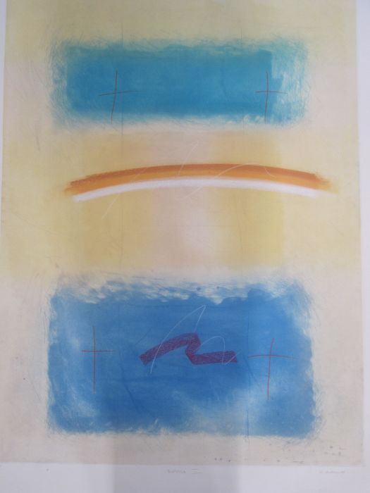 Mark Andrew Godwin (b.1957)  Aquatints in colours  Signed in pencil to the margin 'Nimrod I' artists - Image 6 of 8