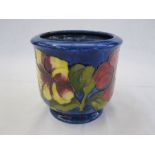 Moorcroft Amaryllis jardiniere, blue ground, marked to base, 12cm high