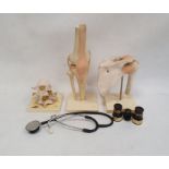 Three medical models depicting the vertebrae, the knee and the hip, a stethoscope and a pair of