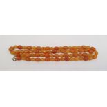 An amber graduating beaded necklace, 32g approx. 75cm long approx.