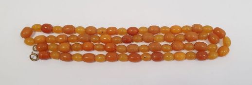 An amber graduating beaded necklace, 32g approx. 75cm long approx.