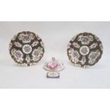 Pair of Worcester-style porcelain plates of shaped circular form, decorated with painted panels of