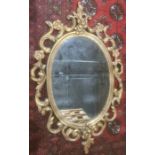 Modern oval mirror in gold coloured sprayed acanthus leaf moulded frame, 83cm x 52cm