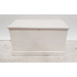 White painted trunk on plinth base, 96cm x 55cm