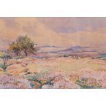 Donald Henry Floyd (1892-1965) Watercolour  Heather landscape scene, signed lower left, 37cm x 55cm