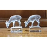 Two Lalique glass models of fawns, with frosted glass bodies, on rectangular clear glass bases,